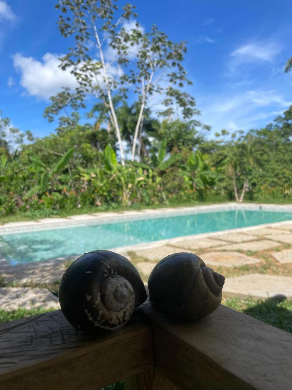 Purachata Ecolodge Iquitos Exterior foto