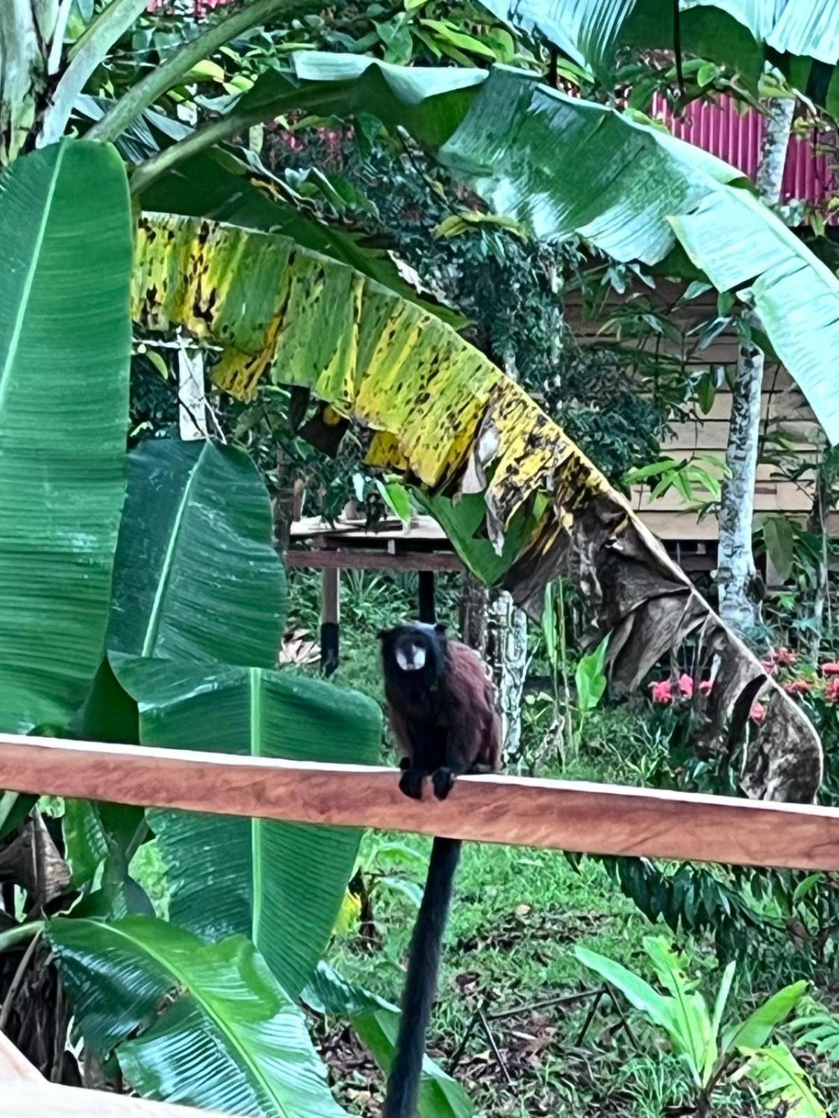 Purachata Ecolodge Iquitos Exterior foto