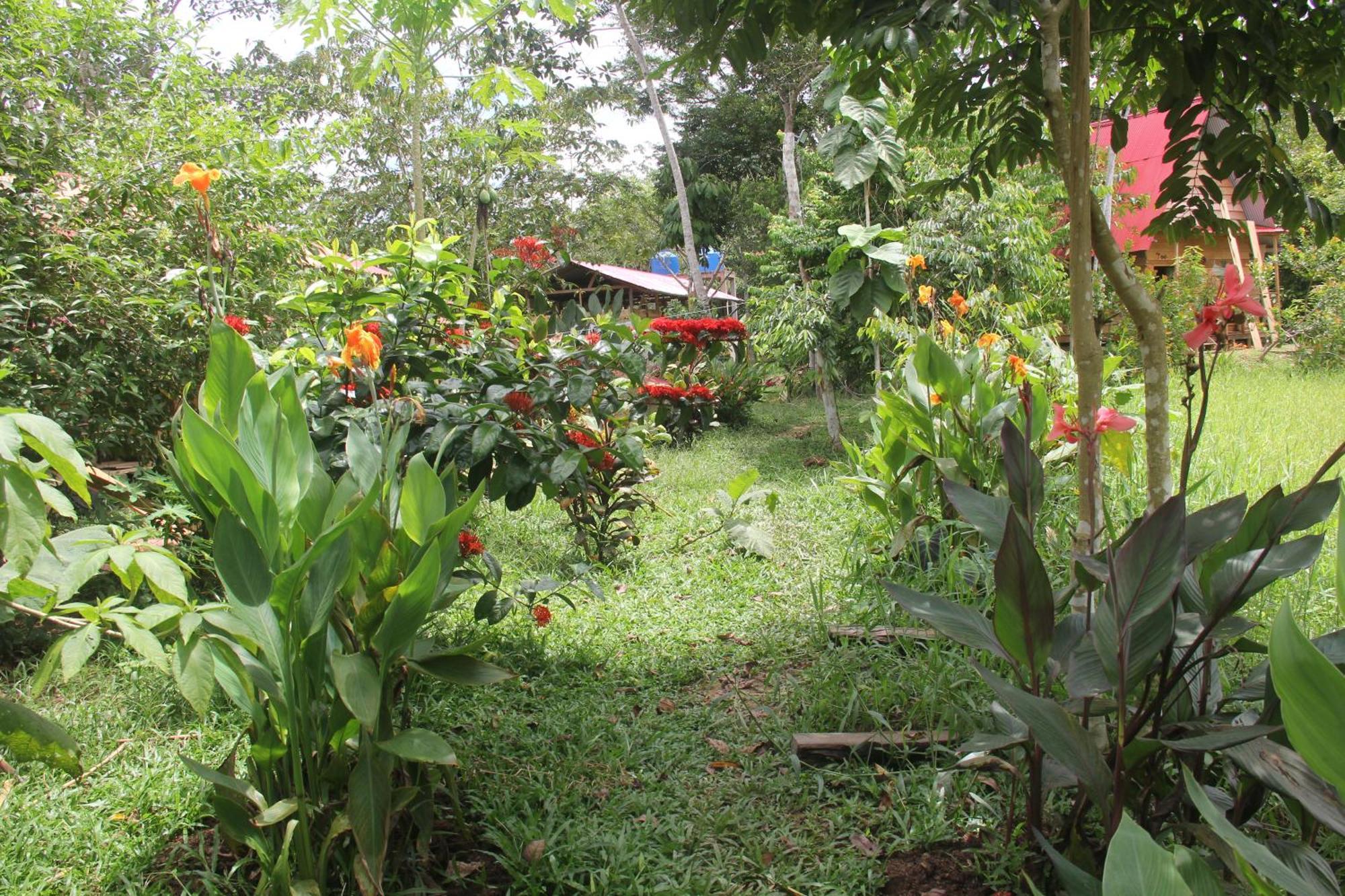 Purachata Ecolodge Iquitos Exterior foto
